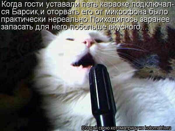 Котоматрица: Когда гости уставали петь караоке,подключал- ся Барсик,и оторвать его от микрофона было практически нереально.Приходилось заранее запасат