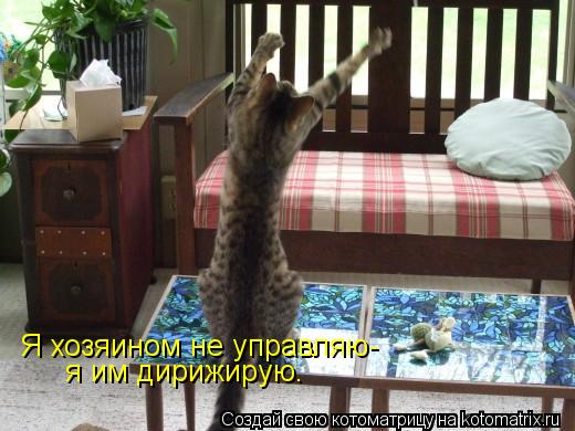 Котоматрица: Я хозяином не управляю- я им дирижирую.