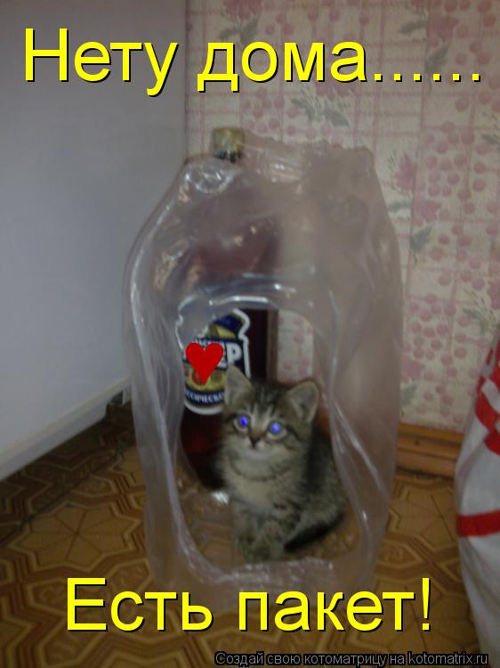 Котоматрица: Нету дома...... Есть пакет! &#9829;