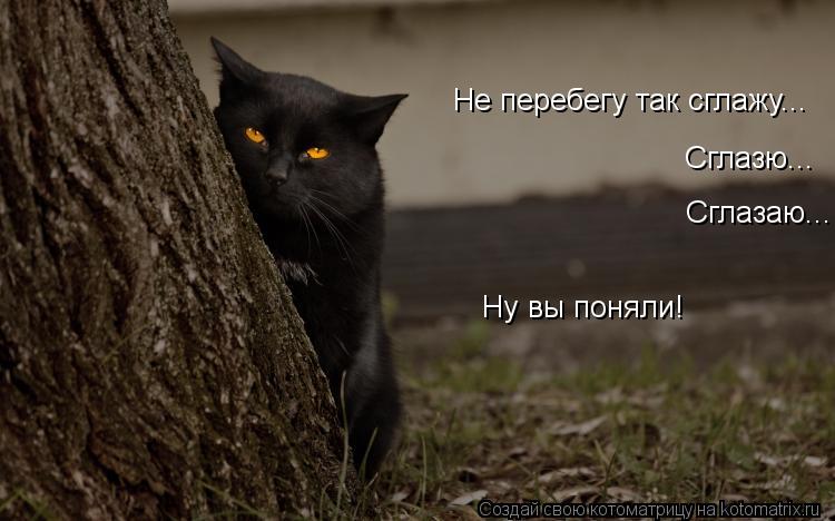 Котоматрица: Не перебегу так сглажу... Сглазю... Сглазаю... Ну вы поняли!