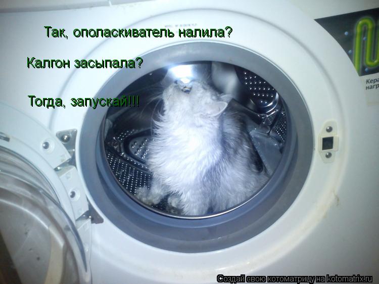 Котоматрица: Так, ополаскиватель налила? Калгон засыпала? Тогда, запускай!!!