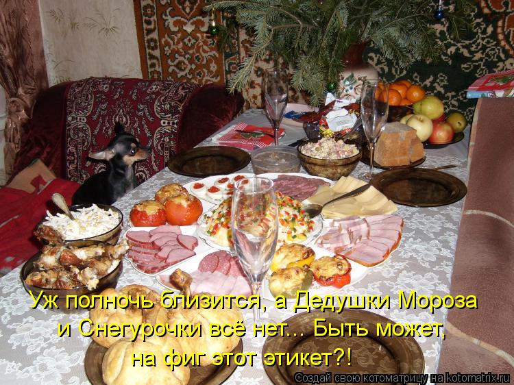 Котоматрица: Уж полночь близится, а Дедушки Мороза и Снегурочки всё нет... Быть может,  на фиг этот этикет?!