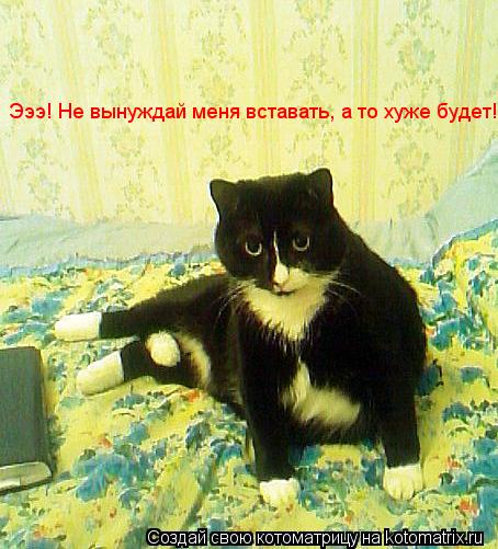 Котоматрица: Эээ! Не вынуждай меня вставать, а то хуже будет!