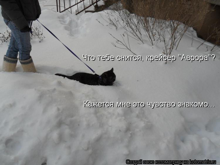 Котоматрица: Что тебе снится, крейсер "Аврора"? Кажется мне это чувство знакомо...