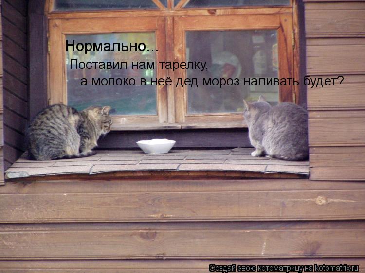 Котоматрица: Нормально...  Поставил нам тарелку,  а молоко в неё дед мороз наливать будет?