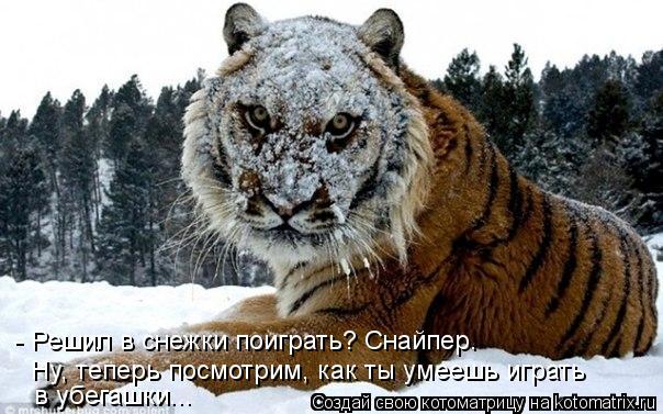 - Решил в снежки поиграть? Снайпер. Ну, теперь посмотрим, как ты умеешь играть в убегашки...... Котоматрица: - Решил в снежки поиграть? Снайпер. Ну, теперь посмотрим, как ты умеешь играть в убегашки...