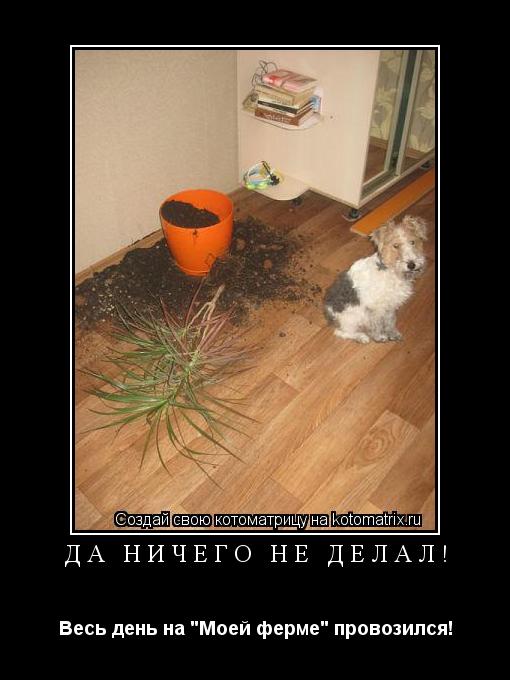 да ничего не делал! Весь день на "Моей ферме" провозился!... Котоматрица: да ничего не делал! Весь день на "Моей ферме" провозился!