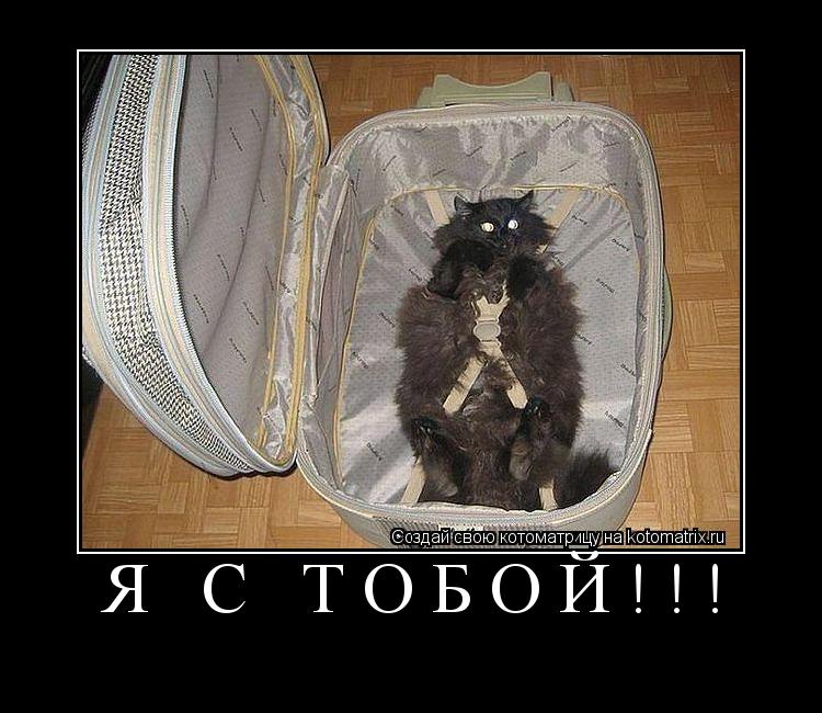 Котоматрица: я с тобой!!! 