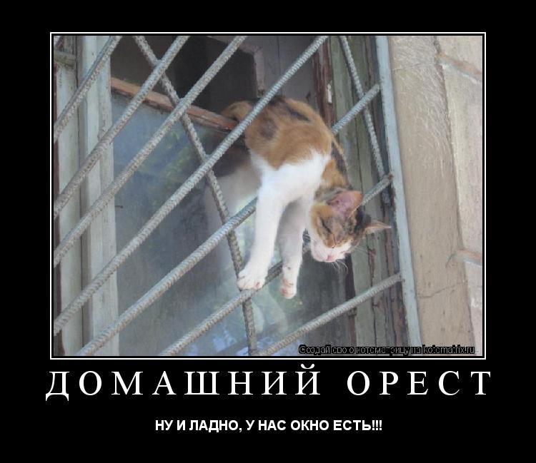 Котоматрица: Домашний орест НУ И ЛАДНО, У НАС ОКНО ЕСТЬ!!!