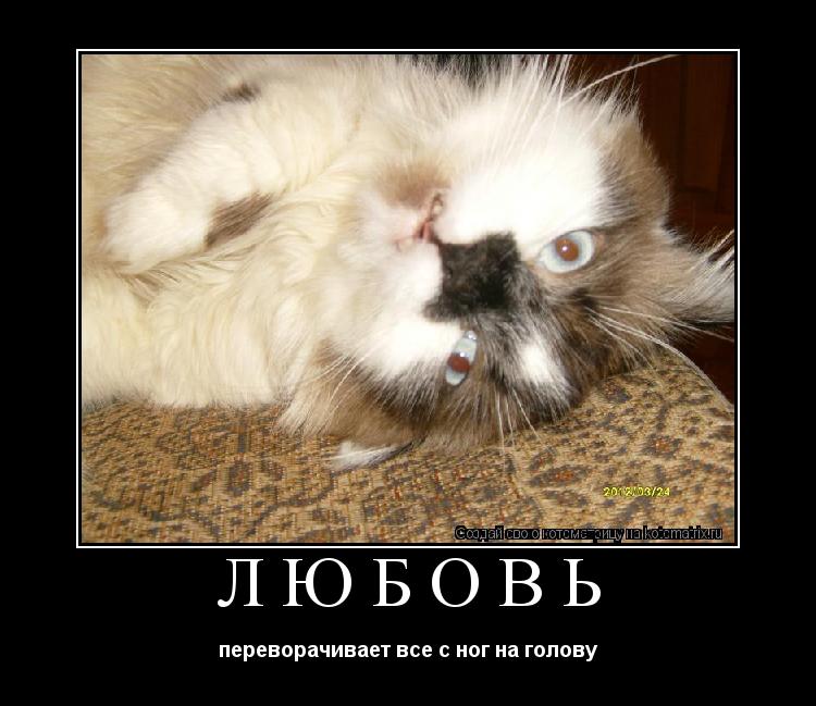 Котоматрица: Любовь переворачивает все с ног на голову