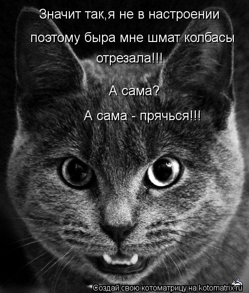 Котоматрица: А сама - прячься!!!  А сама? Значит так,я не в настроении поэтому быра мне шмат колбасы отрезала!!!