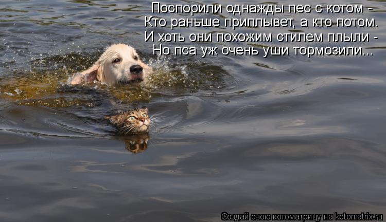 Поспорили однажды пес с котом - Кто раньше приплывет, а кто потом. И хоть они похожим стилем плыли -... Котоматрица: Поспорили однажды пес с котом - Кто раньше приплывет, а кто потом. И хоть они похожим стилем плыли - Но пса уж очень уши тормозили...