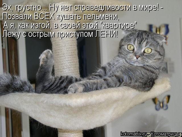 Эх, грустно... Ну нет справедливости в мире! - Позвали ВСЕХ кушать пельмени, А я, как изгой, в своей ... Котоматрица: Эх, грустно... Ну нет справедливости в мире! - Позвали ВСЕХ кушать пельмени, А я, как изгой, в своей этой "квартире" Лежу с острым приступом ЛЕНИ