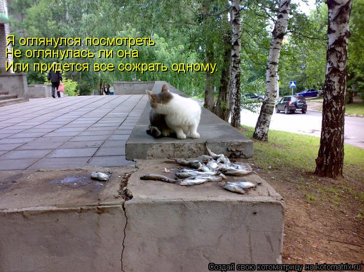 Я оглянулся посмотреть Не оглянулась ли она Или придется все сожрать одному.... Котоматрица: Я оглянулся посмотреть Не оглянулась ли она Или придется все сожрать одному.