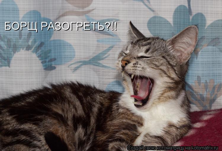 БОРЩ РАЗОГРЕТЬ?!!... Котоматрица: БОРЩ РАЗОГРЕТЬ?!!