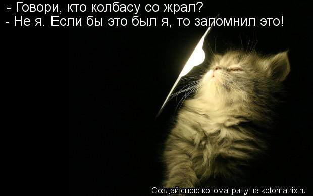 - Говори, кто колбасу со жрал? - Не я. Если бы это был я, то запомнил это!... Котоматрица: - Говори, кто колбасу со жрал? - Не я. Если бы это был я, то запомнил это!
