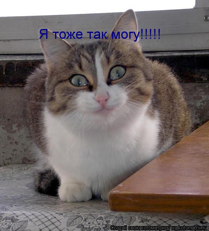 Я тоже так могу!!!!!... Котоматрица: Я тоже так могу!!!!!
