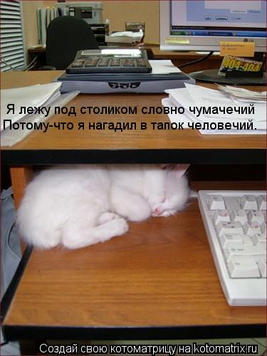Я лежу под столиком словно чумачечий Потому-что я нагадил в тапок человечий.... Котоматрица: Я лежу под столиком словно чумачечий Потому-что я нагадил в тапок человечий.