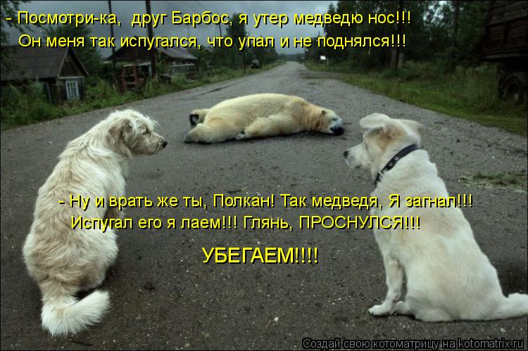 - Посмотри-ка, друг Барбос, я утер медведю нос!!! Он меня так испугался, что упал и не поднялся!!! -... Котоматрица: - Посмотри-ка, друг Барбос, я утер медведю нос!!! Он меня так испугался, что упал и не поднялся!!! - Ну и врать же ты, Полкан! Так медведя, Я загнал