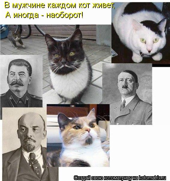 Котоматрица: В мужчине каждом кот живет, А иногда - наоборот!