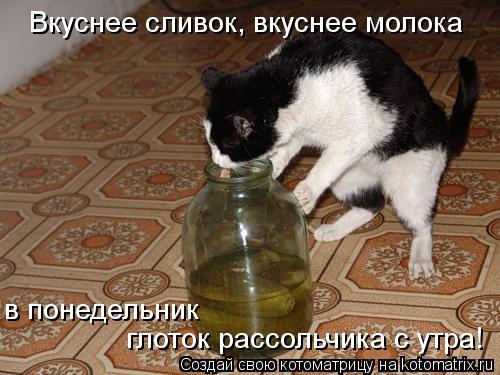 http://kotomatrix.ru/images/lolz/2012/03/29/1151570.jpg