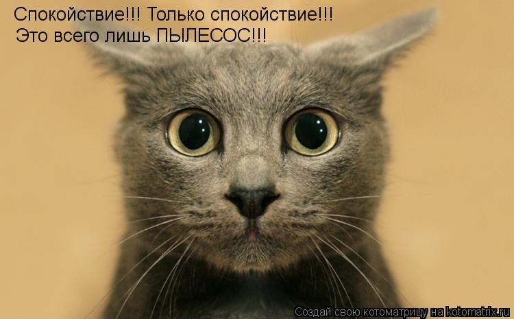 Котоматрица: Спокойствие!!! Только спокойствие!!!  Это всего лишь ПЫЛЕСОС!!!
