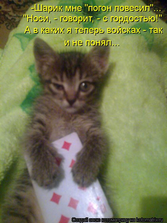 Котоматрица: -Шарик мне "погон повесил"... "Носи, - говорит, - с гордостью!" А в каких я теперь войсках - так  и не понял...