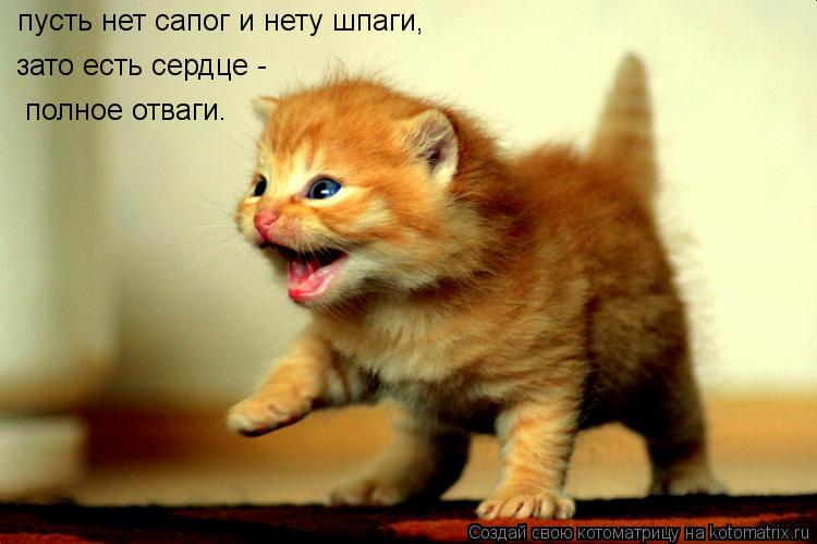 пусть нет сапог и нету шпаги, зато есть сердце - полное отваги.... Котоматрица: пусть нет сапог и нету шпаги, зато есть сердце - полное отваги.
