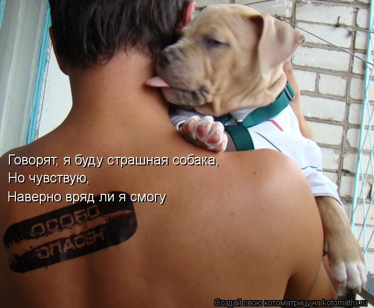 Котоматрица: Говорят, я буду страшная собака,  Но чувствую, Наверно вряд ли я смогу