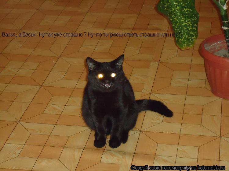 Котоматрица: Васьк , а Васьк ! Ну так уже страшно ? Ну что ты ржеш ответь страшно или нет !?