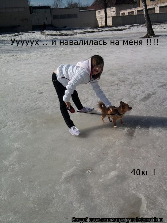 Котоматрица: Ууууух .. и навалилась на меня !!!!  40кг !