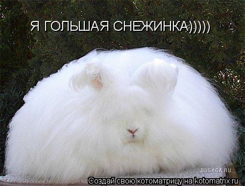 Котоматрица: Я ГОЛЬШАЯ СНЕЖИНКА)))))
