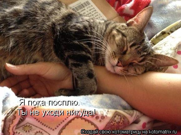 Котоматрица: Я пока посплю. Ты не уходи никуда!