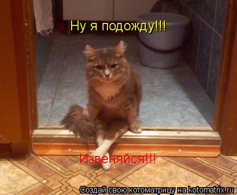 Котоматрица: Ну я подожду!!! Извеняйся!!!