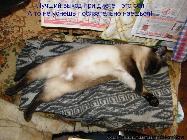 Котоматрица: Лучший выход при диете - это сон. А то не уснешь - обязательно наешься!
