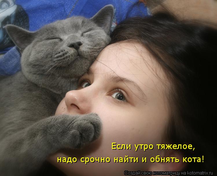 Котоматрица: Если утро тяжелое, надо срочно найти и обнять кота!