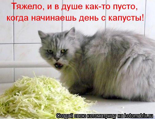 Котоматрица: когда начинаешь день с капусты!  Тяжело, и в душе как-то пусто,