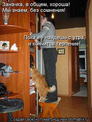 Котоматрица: Заначка, в общем, хороша! Мы знаем, без сомнения! Пока её найдешь с утра, и кончится терпение!