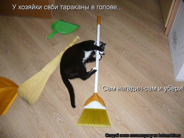 Котоматрица: У хозяйки свои тараканы в голове... Сам нагадил-сам и убери!