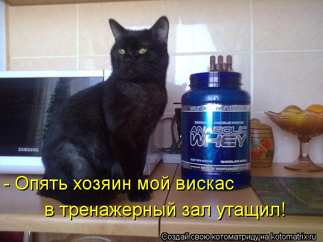Котоматрица: - Опять хозяин мой вискас  в тренажерный зал утащил!