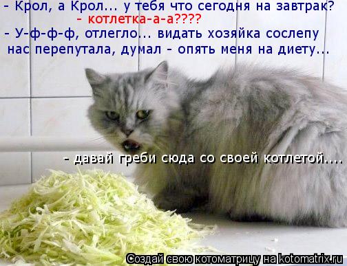Котоматрица: - Крол, а Крол... у тебя что сегодня на завтрак? нас перепутала, думал - опять меня на диету... - У-ф-ф-ф, отлегло... видать хозяйка сослепу  - котлет