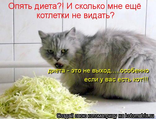 Котоматрица: Опять диета?! И сколько мне ещё  котлетки не видать? диета - это не выход.....особенно если у вас есть кот!!!