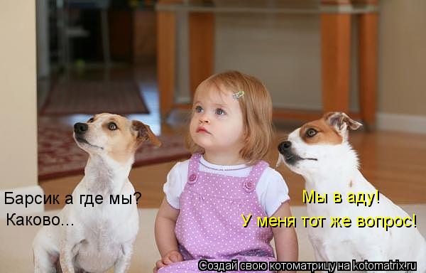 Котоматрица: Барсик а где мы? Мы в аду! Каково... У меня тот же вопрос!