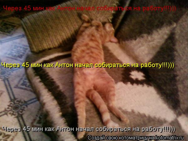 Котоматрица: Через 45 мин как Антон начал собираться на работу!!!))) Через 45 мин как Антон начал собираться на работу!!!))) Через 45 мин как Антон начал собират