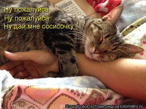 Котоматрица: Ну пожалуйса Ну пожалуйса Ну дай мне сосисочку