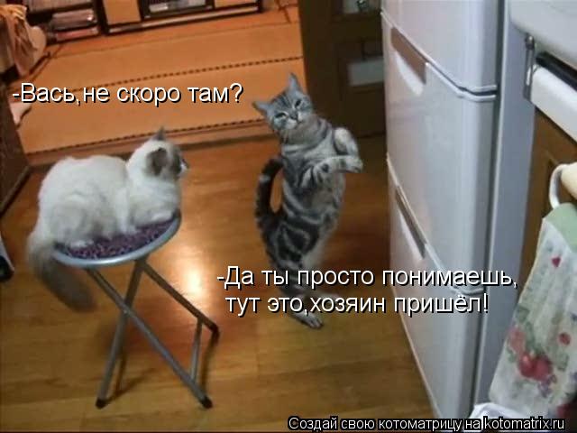 Котоматрица: -Вась,не скоро там?  -Да ты просто понимаешь, тут это,хозяин пришёл!