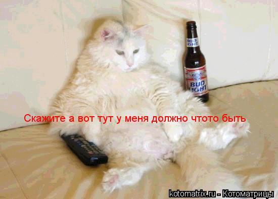 Котоматрица: Скажите а вот тут у меня должно чтото быть