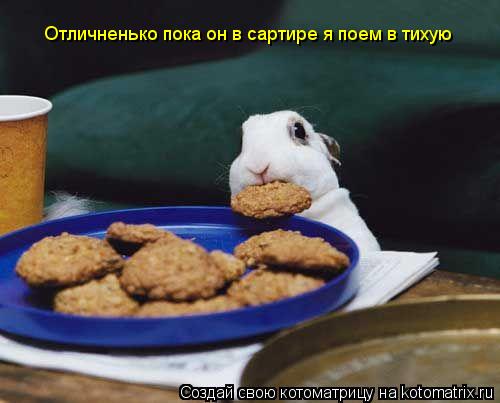 Котоматрица: Отличненько пока он в сартире я поем в тихую