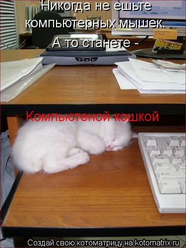 Котоматрица: Никогда не ешьте  А то станете - компьютерных мышек. Компьютеной кошкой