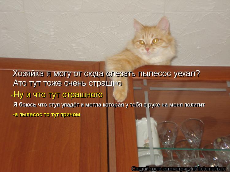 Котоматрица: Хозяйка я могу от сюда слезать пылесос уехал? Ато тут тоже очень страшно -Ну и что тут страшного Я боюсь что стул упадёт и метла которая у теб